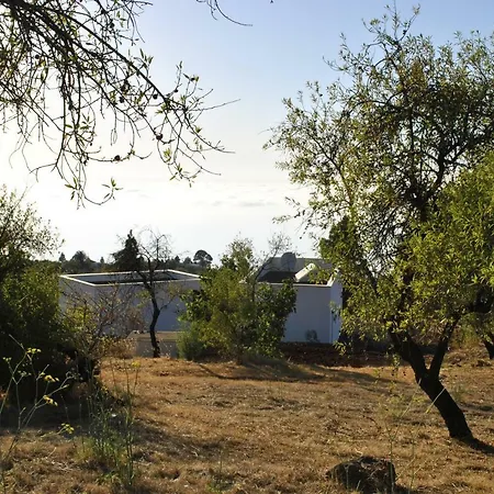 Horizonte Puntagorda